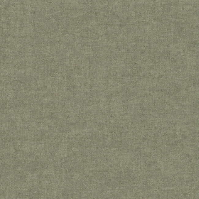 Dutch Wallcoverings Dutch Wallcoverings - Linen & Textures - uni green - Vliesbehang - 10m x 53cm - TT10011