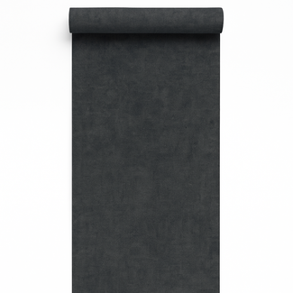 Dutch Wallcoverings Vliesbehang - Linen & Textures - uni blacksilver- TT10017