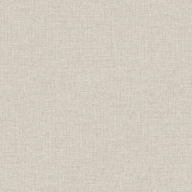 Dutch Wallcoverings Dutch Wallcoverings - Renaissance - Natural Weave Cream/Green  - Vliesbehang - 10m x 53cm - RE521043