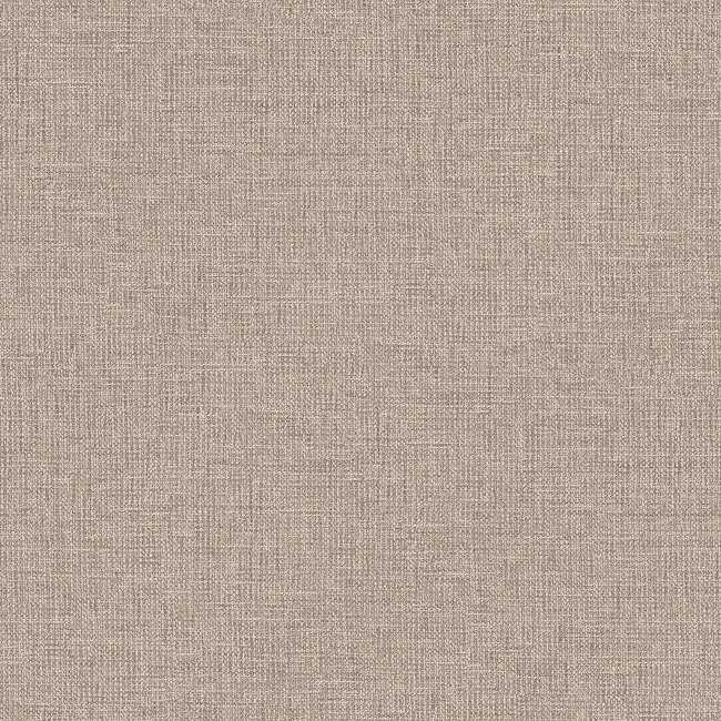 Dutch Wallcoverings Dutch Wallcoverings - Renaissance - Natural Weave Taupe - Vliesbehang - 10m x 53cm - RE521045