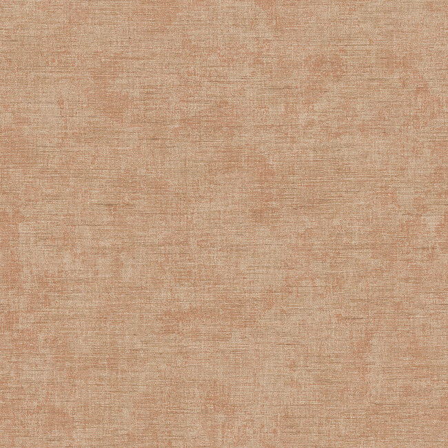 Dutch Wallcoverings Dutch Wallcoverings - Renaissance - Needle Point Plain Brown - Vliesbehang - 10m x 53cm - RE521064