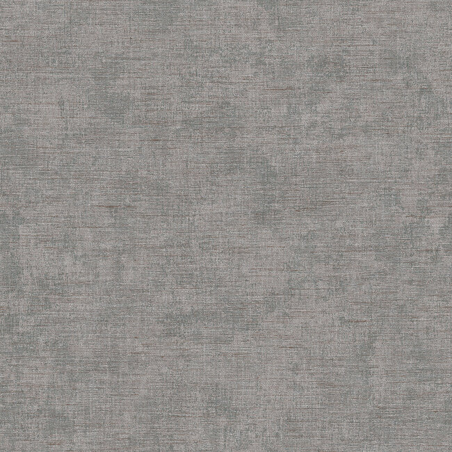 Dutch Wallcoverings Dutch Wallcoverings - Renaissance - Needle Point Plain Grey - Vliesbehang - 10m x 53cm - RE521065