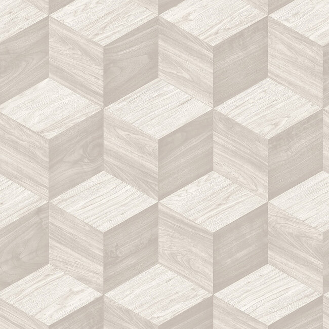 Dutch Wallcoverings Dutch Wallcoverings - Renaissance - Natural Cube Offwhite - Vliesbehang - 10m x 53cm - RE521091