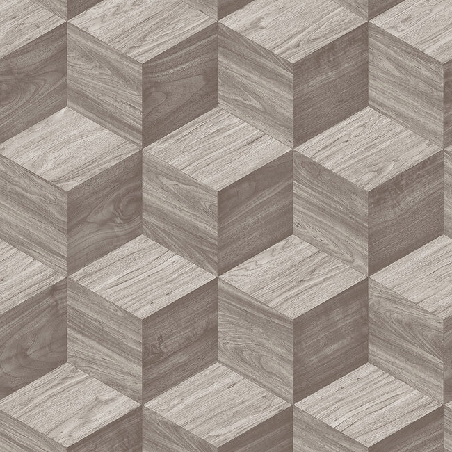 Dutch Wallcoverings Dutch Wallcoverings - Renaissance - Natural Cube Taupe - Vliesbehang - 10m x 53cm - RE521092