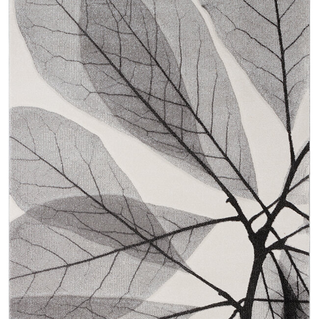 Dutch Lifestyle - Leaves - PP - Vloerkleed - Multicolor