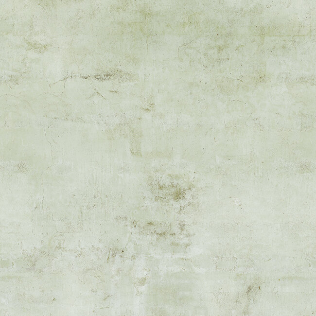 Dutch Wallcoverings Vliesbehang - Feature Walls - Concrete beige - FW4050-1 - 212cm x 280cm