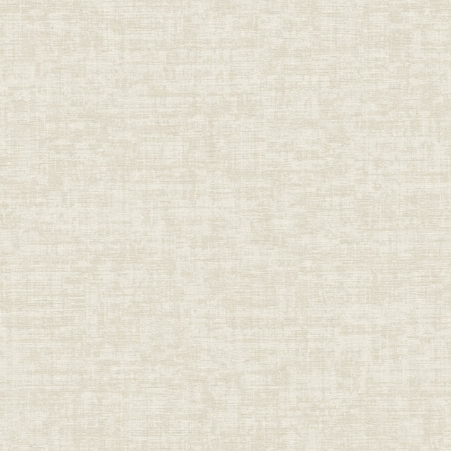 Dutch Wallcoverings Dutch Wallcoverings - Velvet Touch - Beige - VT10001