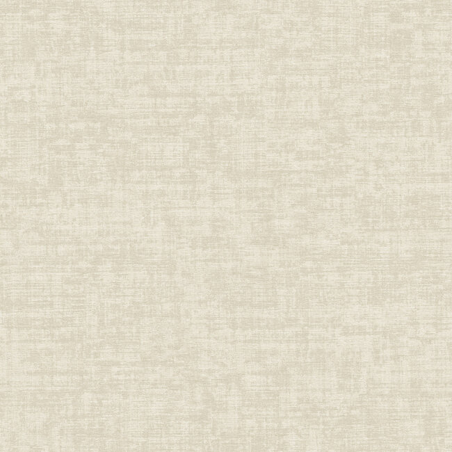 Dutch Wallcoverings Dutch Wallcoverings - Velvet Touch - Beige - VT10002