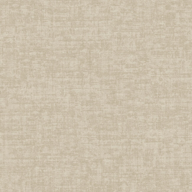 Dutch Wallcoverings Dutch Wallcoverings - Velvet Touch - Beige - VT10003