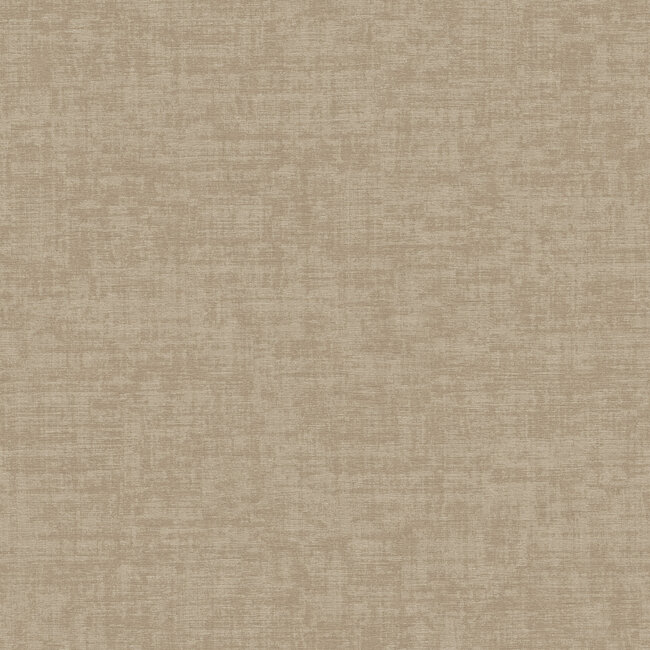 Dutch Wallcoverings Dutch Wallcoverings - Velvet Touch - Taupe - VT10005