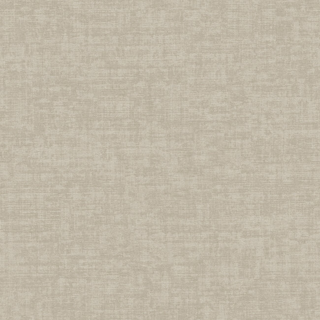 Dutch Wallcoverings Dutch Wallcoverings - Velvet Touch - Taupe - VT10006