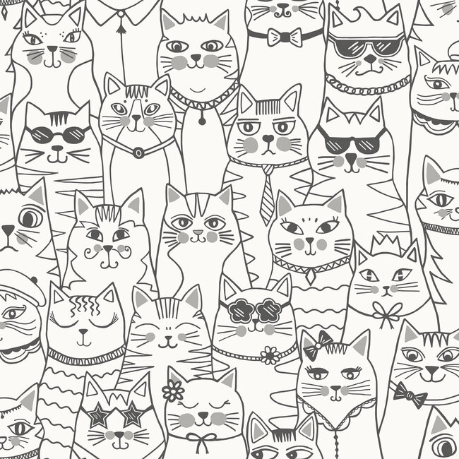 Dutch Wallcoverings Dutch Wallcoverings - Adventure Awaits - Colour-me Cats Black/White - Black/White - 14070