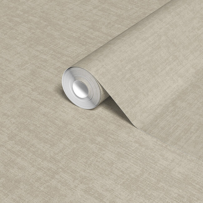 Dutch Wallcoverings Dutch Wallcoverings - Velvet Touch - Taupe - VT10006