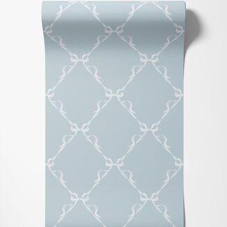 Dutch Wallcoverings Dutch Wallcoverings - Adventure Awaits - Tied With a Bow Sky Blue - Blue - 14030