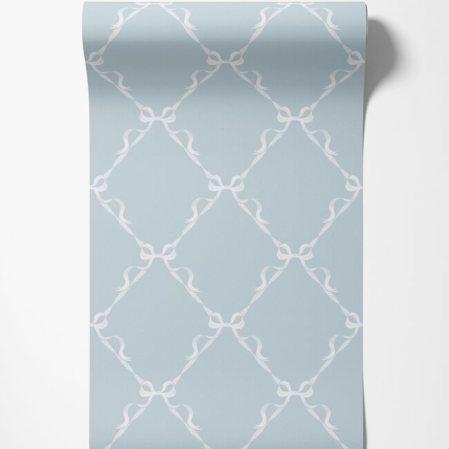 Dutch Wallcoverings Dutch Wallcoverings - Adventure Awaits - Tied With a Bow Sky Blue - Blue - 14030
