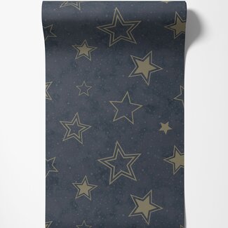 Dutch Wallcoverings Dutch Wallcoverings - Adventure Awaits - Stardust Midnight Blue/Gold - Blue/Gold - 14061
