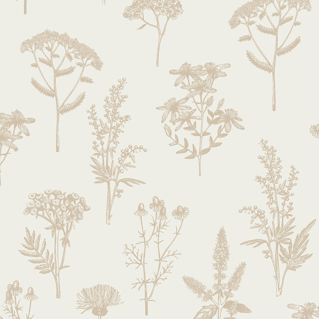 Dutch Wallcoverings Dutch Wallcoverings - Flora- veldbloemen beige/goud - M805-04 - Vliesbehang - 53cm x 10m