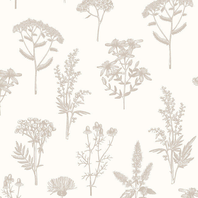 Dutch Wallcoverings Dutch Wallcoverings - Flora- veldbloemen wit/zilver - M805-07 - Vliesbehang - 53cm x 10m