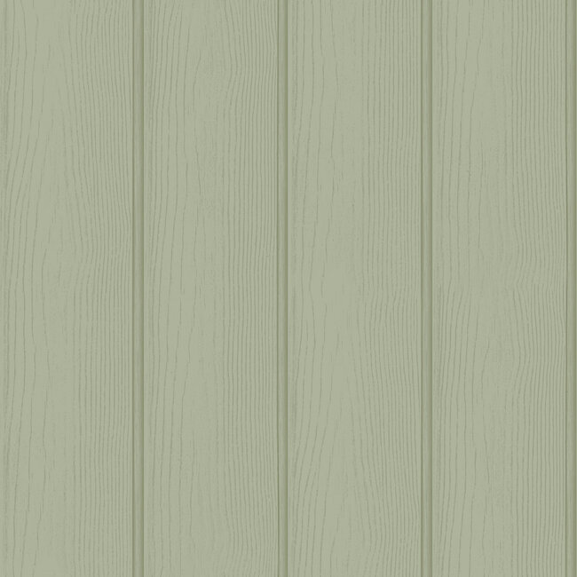 Dutch Wallcoverings Dutch Wallcoverings - Imaginarium 3 - Tongue & Groove Sage - Papierbehang - 10m x 53cm - 13990