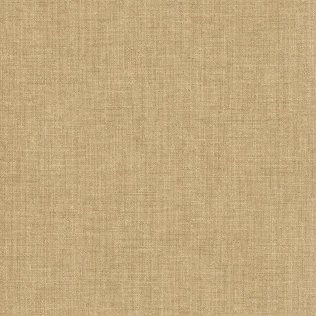 Dutch Wallcoverings Dutch Wallcoverings - Inia- Solena uni bruin - Vliesbehang - 10m x 53cm - A71011