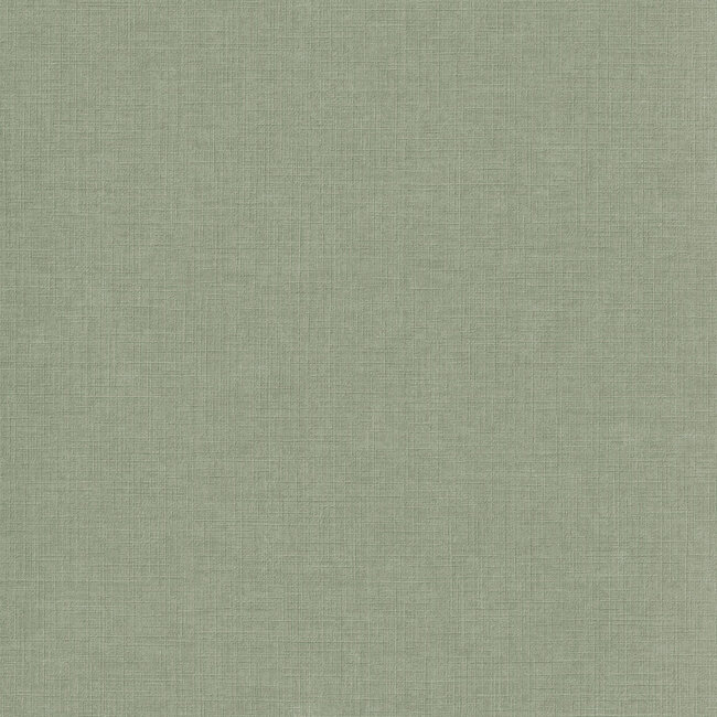 Dutch Wallcoverings Dutch Wallcoverings - Inia- Solena uni groen - Vliesbehang - 10m x 53cm - A71014