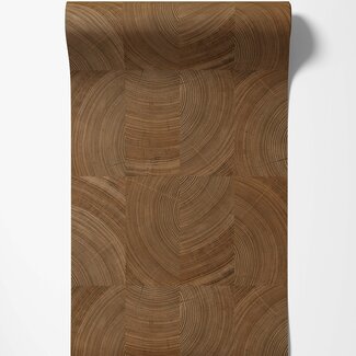 Dutch Wallcoverings Dutch Wallcoverings - Karuna- Cambara bruin - A69101