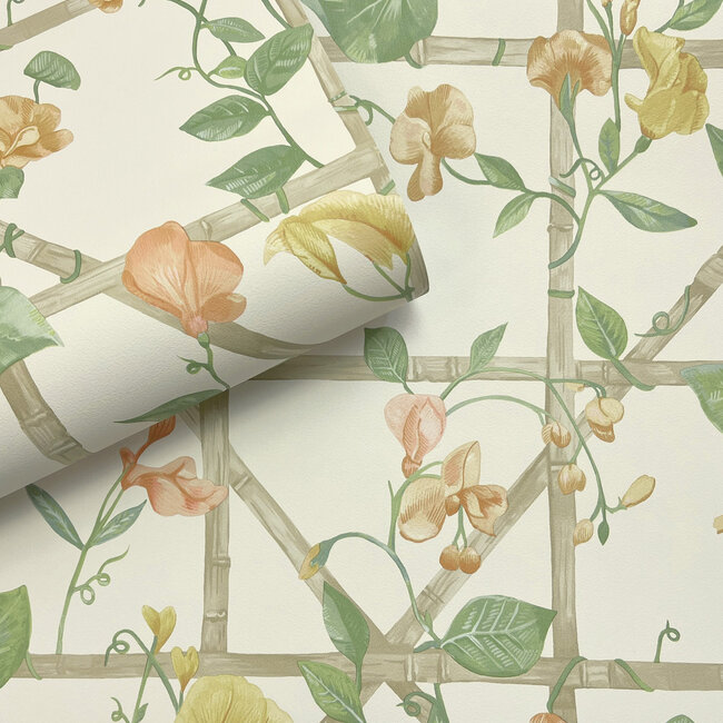 Dutch Wallcoverings Dutch Wallcoverings - Imaginarium 3 - Trailing Floral Trellis Orange Cream - Papierbehang - 10m x 53cm - 14200