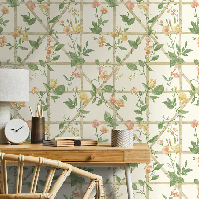 Dutch Wallcoverings Dutch Wallcoverings - Imaginarium 3 - Trailing Floral Trellis Orange Cream - Papierbehang - 10m x 53cm - 14200