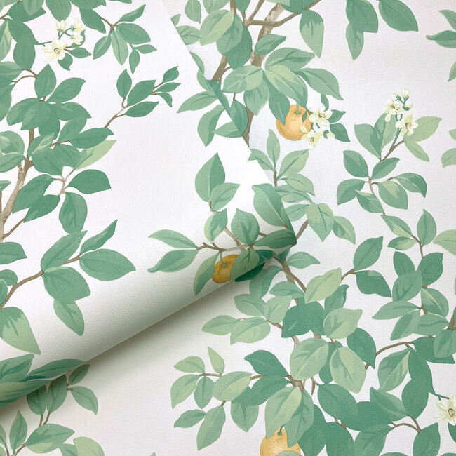 Dutch Wallcoverings Dutch Wallcoverings - Imaginarium 3 - Orange Tree Cream Green - Papierbehang - 10m x 53cm - 14240
