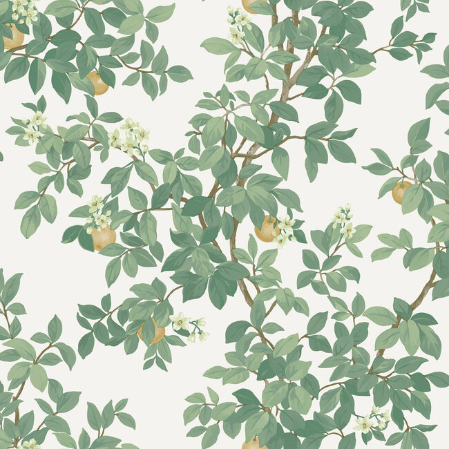 Dutch Wallcoverings Dutch Wallcoverings - Imaginarium 3 - Orange Tree Cream Green - Papierbehang - 10m x 53cm - 14240