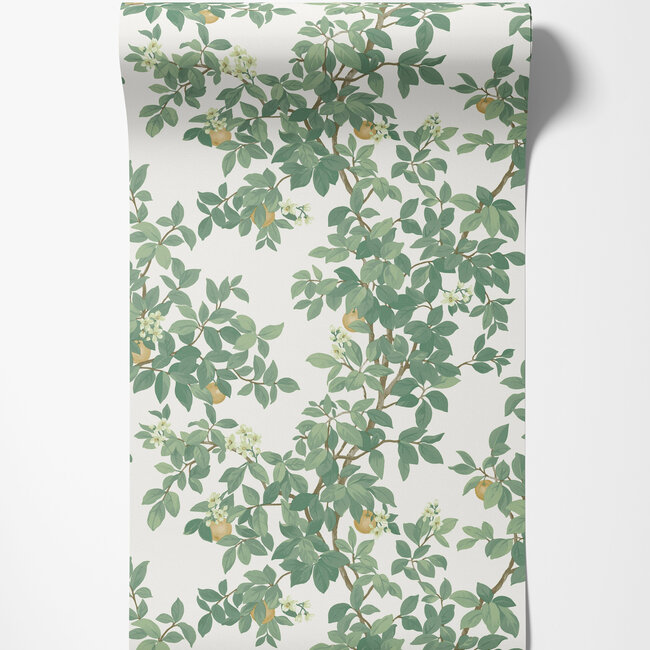 Dutch Wallcoverings Dutch Wallcoverings - Imaginarium 3 - Orange Tree Cream Green - Papierbehang - 10m x 53cm - 14240