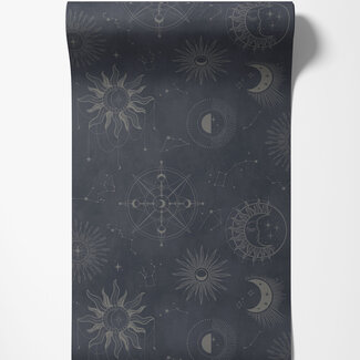 Dutch Wallcoverings Dutch Wallcoverings - Imaginarium 3 - Cosmic Navy Silver - 14251