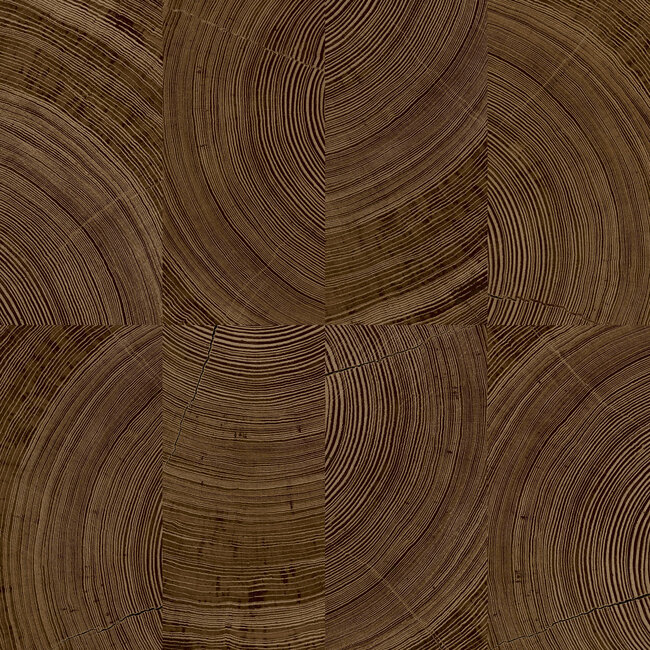 Dutch Wallcoverings Dutch Wallcoverings - Karuna - Cambara bruin - Vliesbehang - 10m x 53cm - A69103