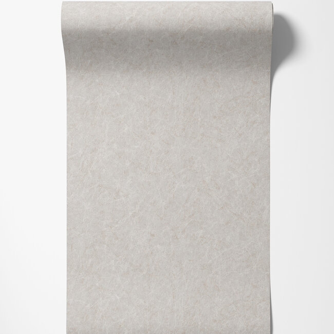 Dutch Wallcoverings Dutch Wallcoverings - Tapestry Linen Plain Light Grey - Vliesbehang - 10m x 53cm - TP422905