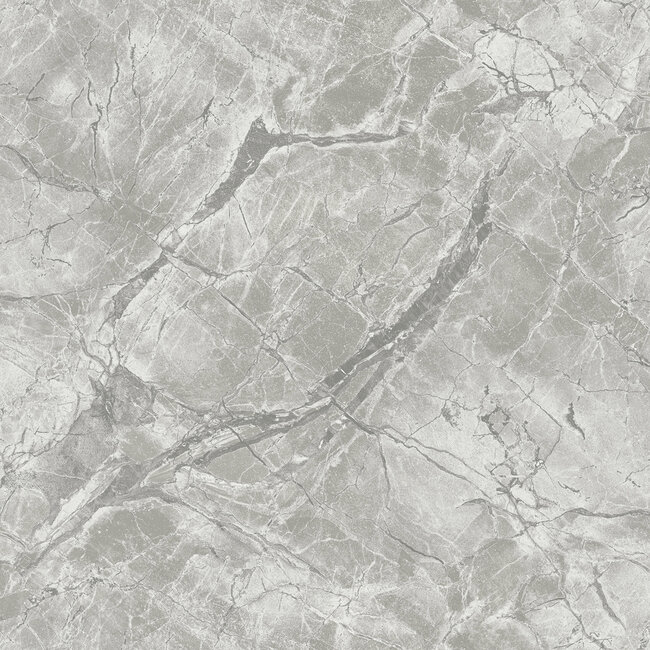 Dutch Wallcoverings Dutch Wallcoverings - FC Arabesque- Portoro Dove Silver - Vliesbehang - 10m x 53cm - 36282