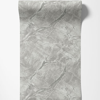 Dutch Wallcoverings Dutch Wallcoverings - FC Arabesque- Portoro Dove Silver - 36282