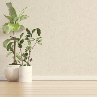 Dutch Wallcoverings Dutch Wallcoverings - FC Eleganza- Tessuto Plain Dove   - 36411