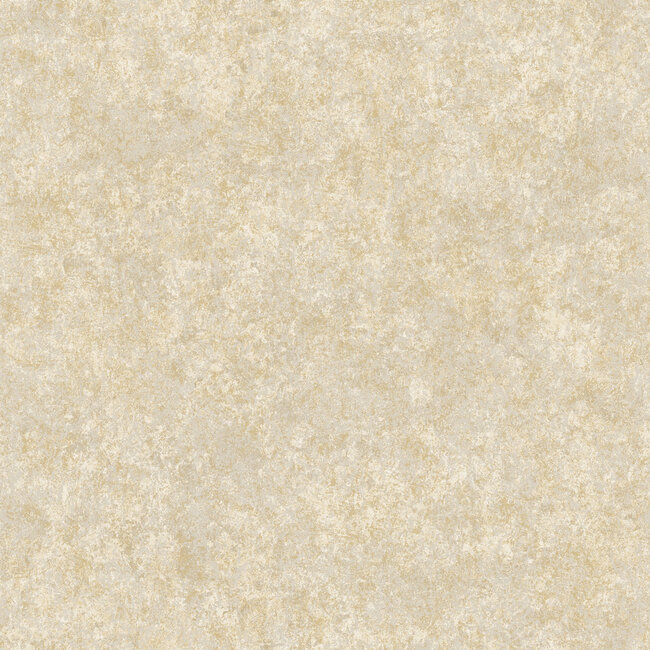 Dutch Wallcoverings Dutch Wallcoverings - FC Sahara- Tassili Sand - Vliesbehang - 10m x 53cm - 66062