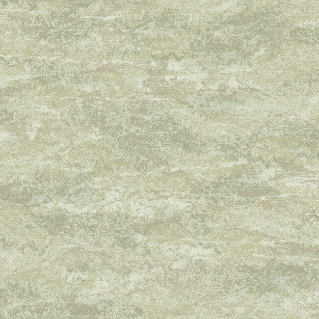 Dutch Wallcoverings Dutch Wallcoverings - FC Sahara- Atlas Sage - Vliesbehang - 10m x 53cm - 66071