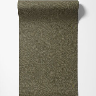 Dutch Wallcoverings Dutch Wallcoverings - FC Sahara- Tenere Olive - 66013 Dutch Wallcoverings Dutch Wallcoverings - FC Sahara- Tenere Olive - 66013
