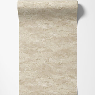 Dutch Wallcoverings Dutch Wallcoverings - FC Sahara- Atlas Sand - 66070