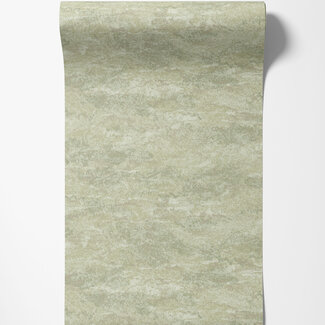 Dutch Wallcoverings Dutch Wallcoverings - FC Sahara- Atlas Sage - 66071