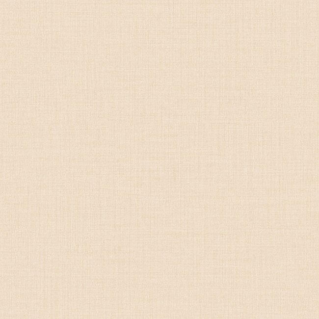 Dutch Wallcoverings Dutch Wallcoverings - Little Dreamers- uni roze - Vliesbehang - 10m x 53cm - LD1018