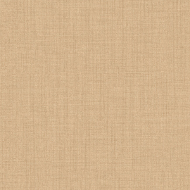 Dutch Wallcoverings Dutch Wallcoverings - Little Dreamers- uni bruin - Vliesbehang - 10m x 53cm - LD1021