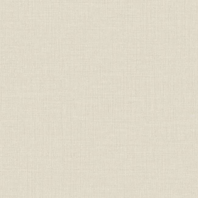 Dutch Wallcoverings Dutch Wallcoverings - Little Dreamers- uni beige - Vliesbehang - 10m x 53cm - MN1002