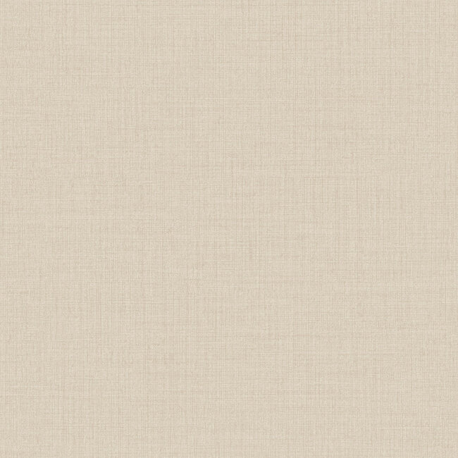 Dutch Wallcoverings Dutch Wallcoverings - Little Dreamers- uni beige - Vliesbehang - 10m x 53cm - MN1003
