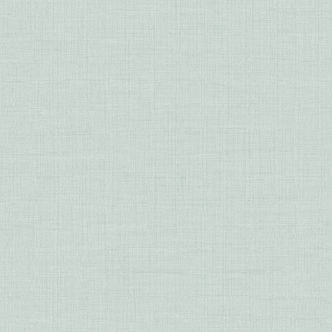 Dutch Wallcoverings Dutch Wallcoverings - Little Dreamers- uni blauw - Vliesbehang - 10m x 53cm - MN1011