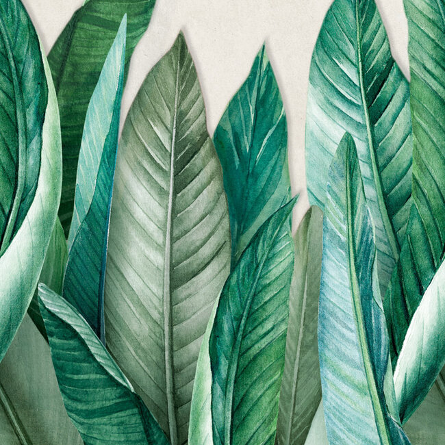 Dutch Wallcoverings Dutch Wallcoverings - Mural Bananier 159x280cm - Vliesbehang - 280cm x 159cm - A39501