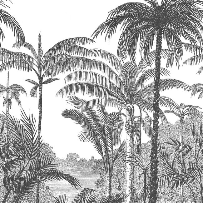Dutch Wallcoverings Dutch Wallcoverings - Mural Palm Scenery 159x280cm - Vliesbehang - 280cm x 159cm - A58201