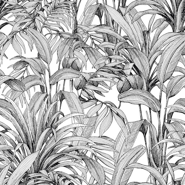 Dutch Wallcoverings Dutch Wallcoverings - Mural Big Aliare 159x280cm - Vliesbehang - 280cm x 159cm - A58301